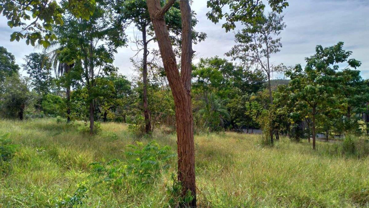Lote, Centro, 0 Quarto, 0 Vaga
