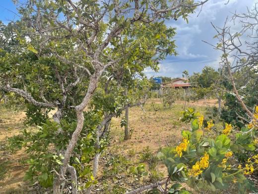 Lote, São Jose de Almeida, 0 Quarto, 0 Vaga