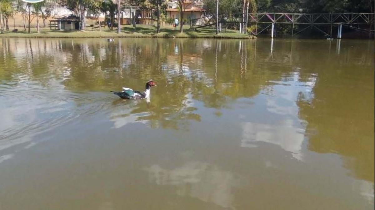 Lote, Ponte Alta, 0 Quarto, 0 Vaga