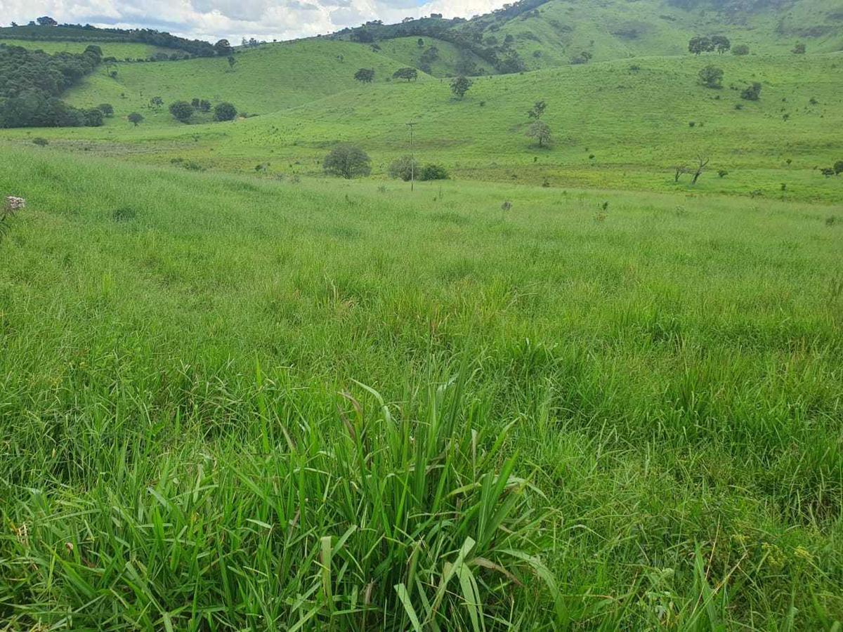 Fazenda, Zona Rural, 4 Quartos, 0 Vaga