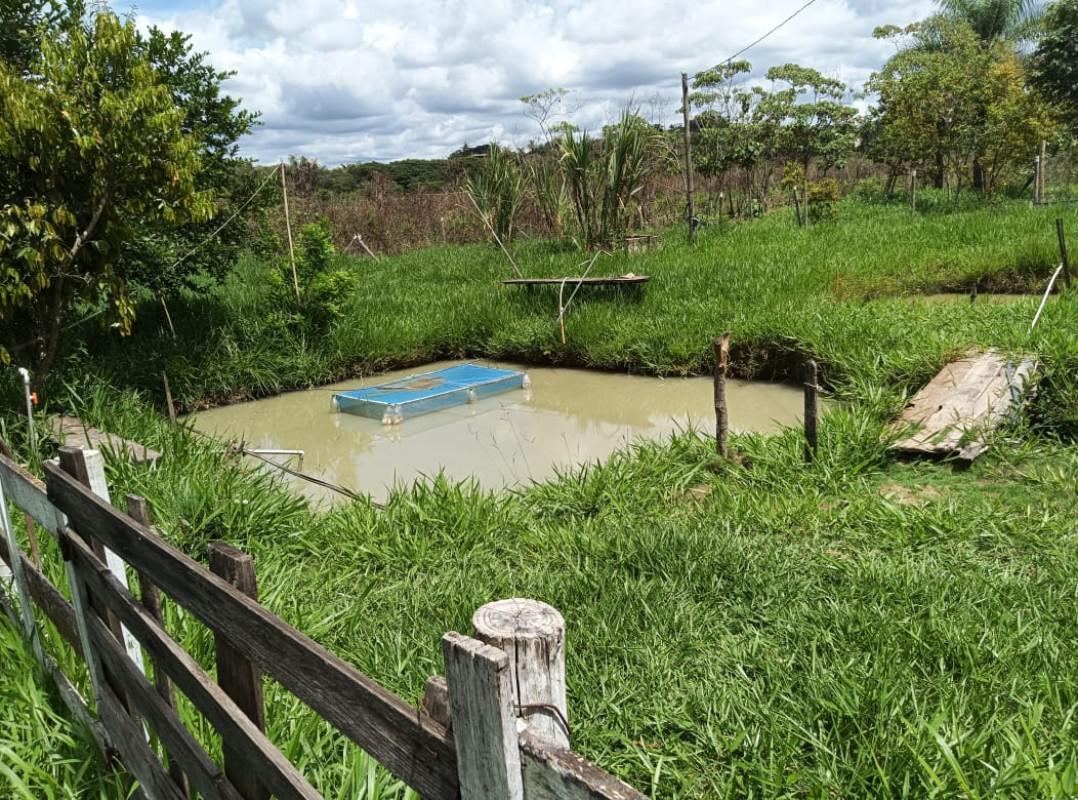 Fazenda, Cidade Jardim, 3 Quartos, 2 Vagas