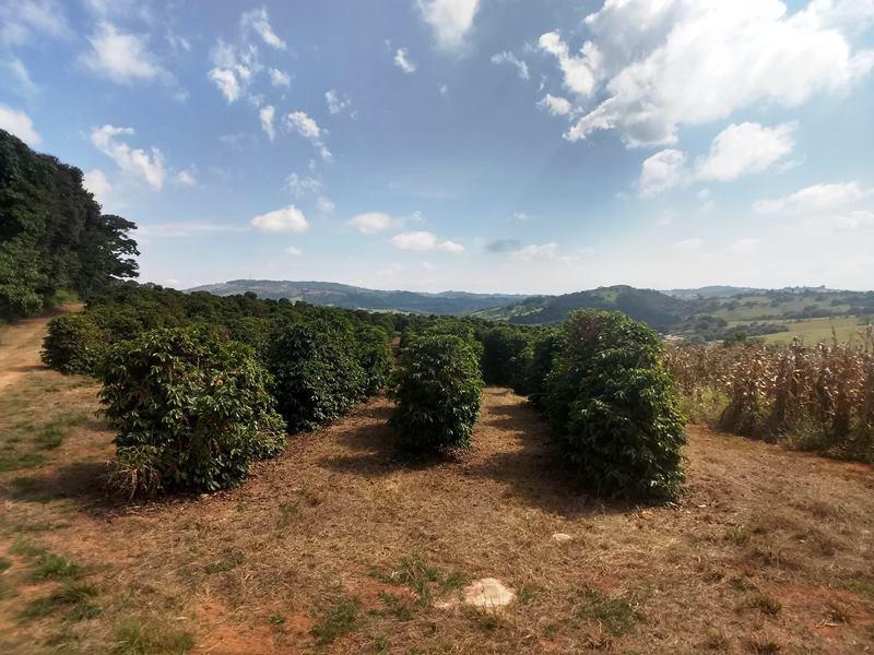 Fazenda, Zona Rural, 0 Quarto, 0 Vaga