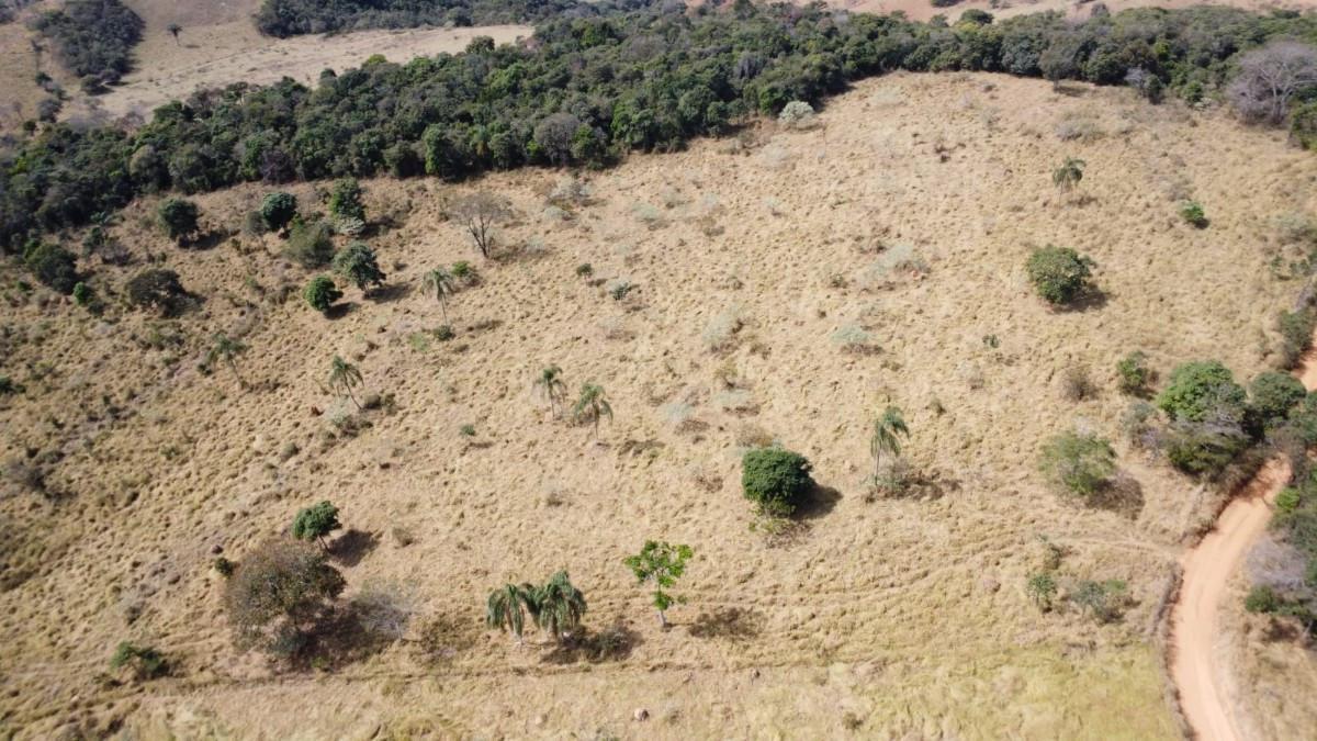 Fazenda, Centro, 7 Quartos, 0 Vaga, 2 Suítes