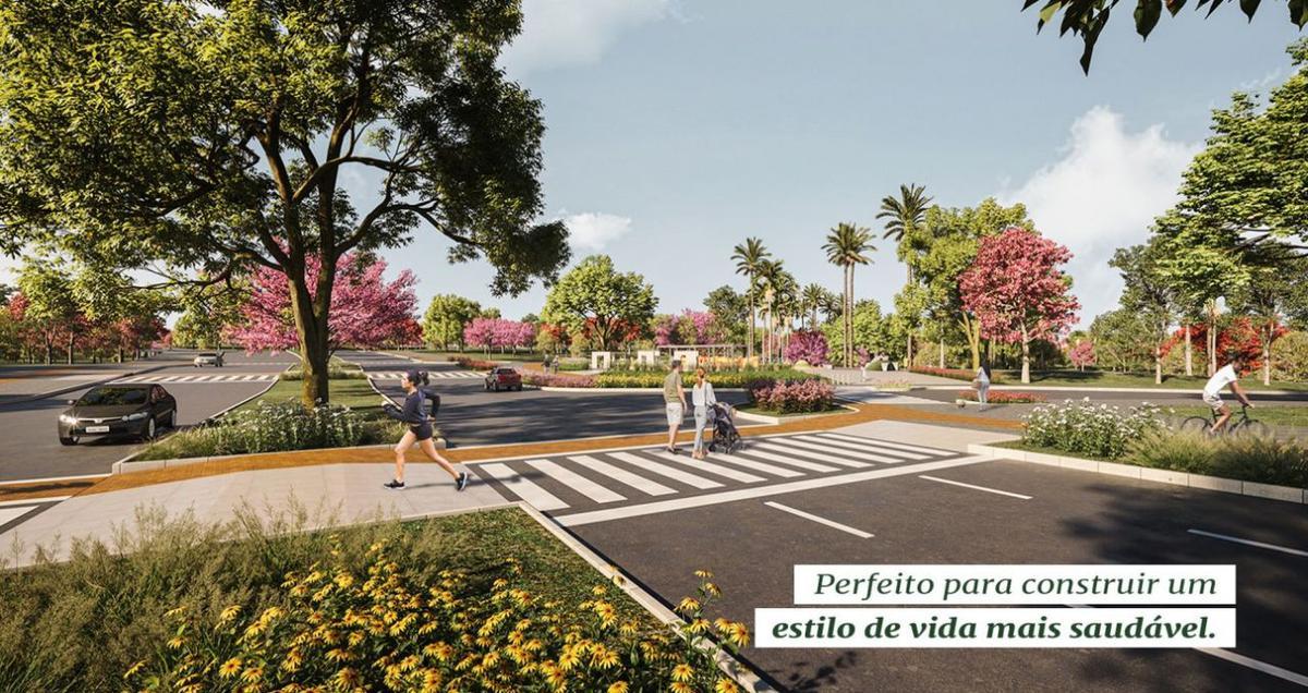 Lote, Canaã, 0 Quarto, 0 Vaga