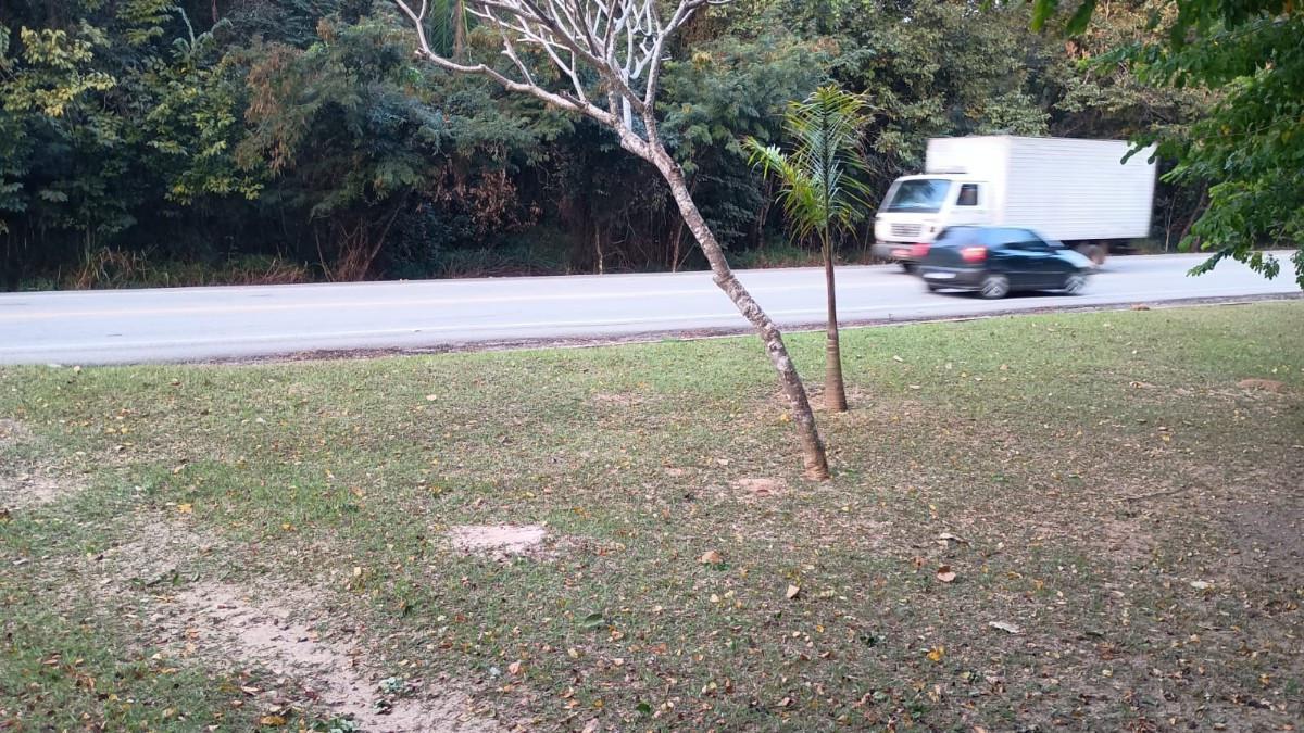 Fazenda, Tropeiros, 0 Quarto, 0 Vaga