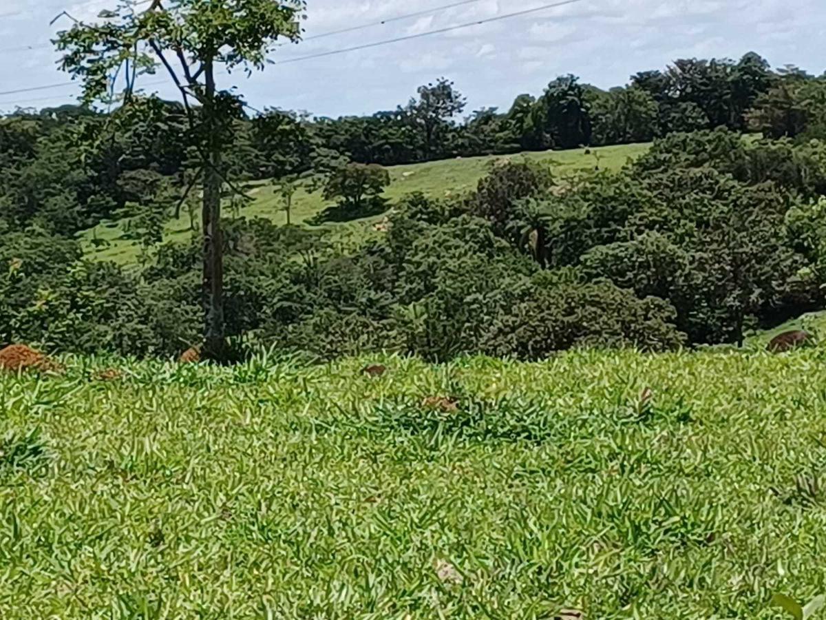 Fazenda, Urucuia, 3 Quartos, 0 Vaga, 1 Suíte