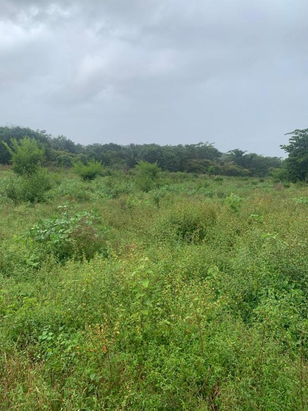 Fazenda, Zona Rural, 0 Quarto, 0 Vaga