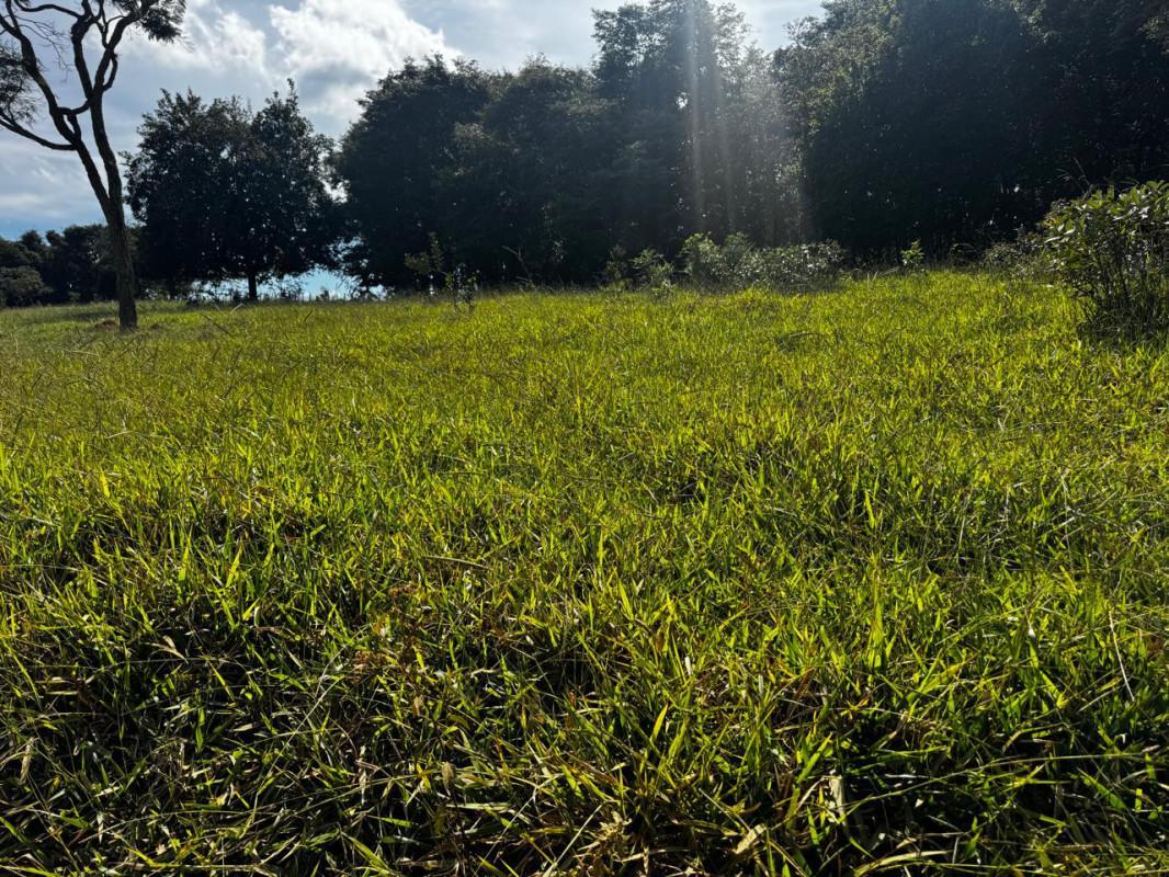 Lote, Centro, 0 Quarto, 0 Vaga