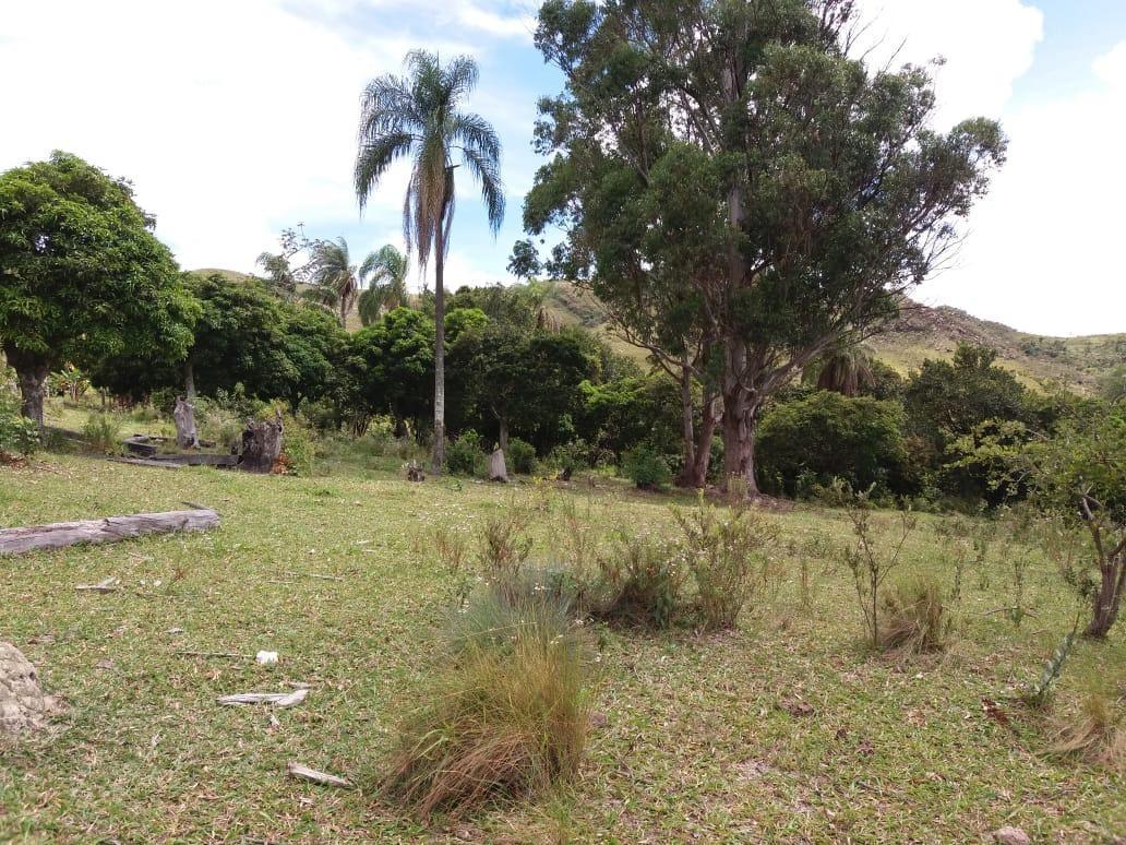 Fazenda, Centro, 0 Quarto, 0 Vaga