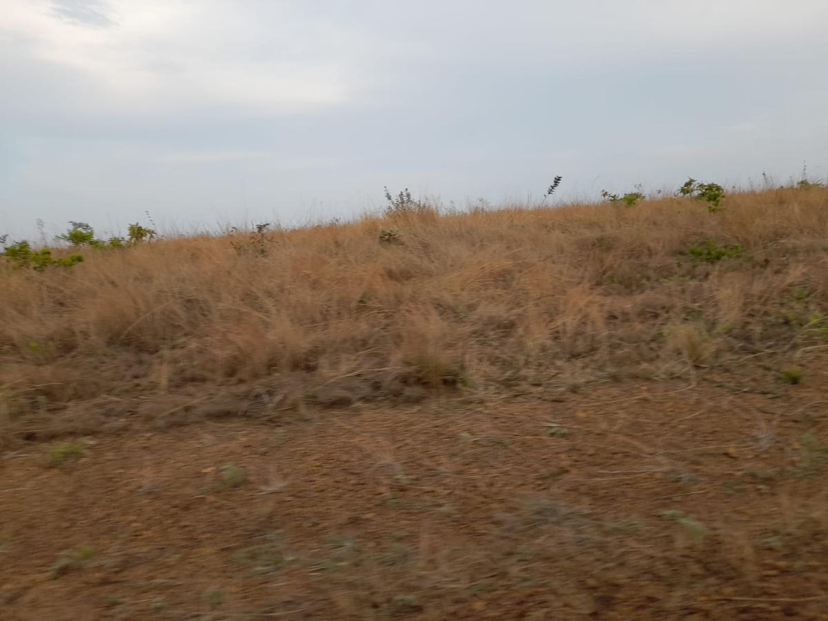 Fazenda, Zona Rural, 0 Quarto, 0 Vaga