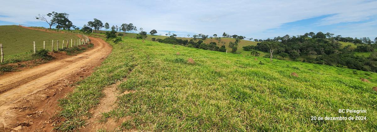 Fazenda, Zona Rural, 0 Quarto, 0 Vaga