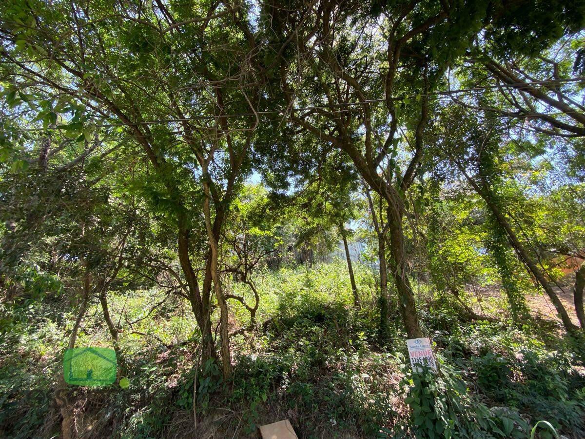 Lote, Alvorada, 0 Quarto, 0 Vaga