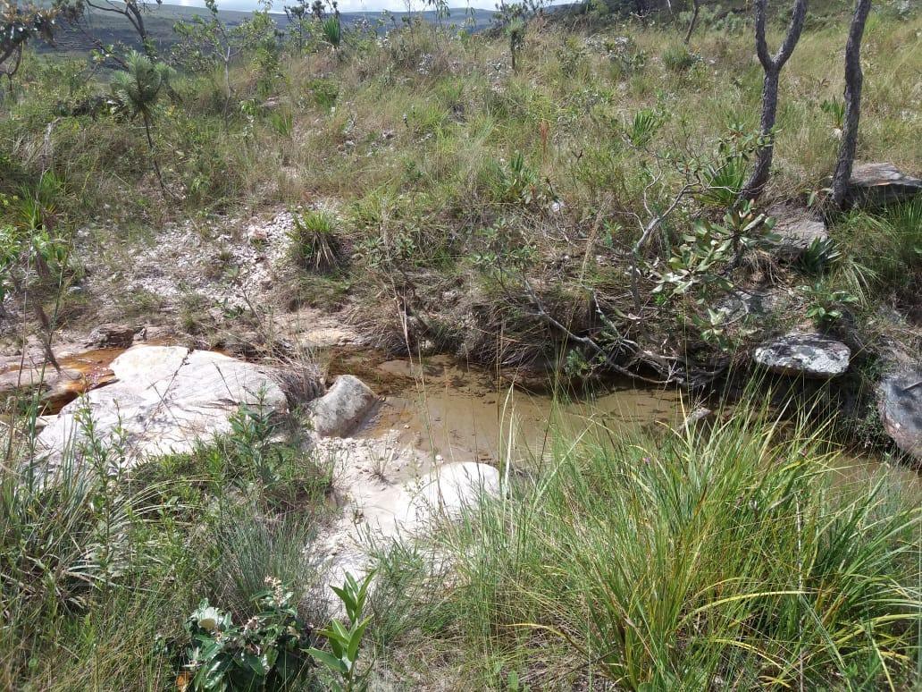 Fazenda, Centro, 0 Quarto, 0 Vaga