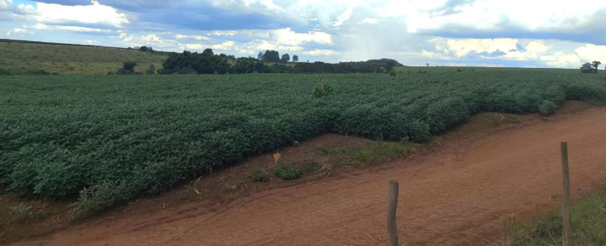 Fazenda, Zona Rural, 0 Quarto, 0 Vaga