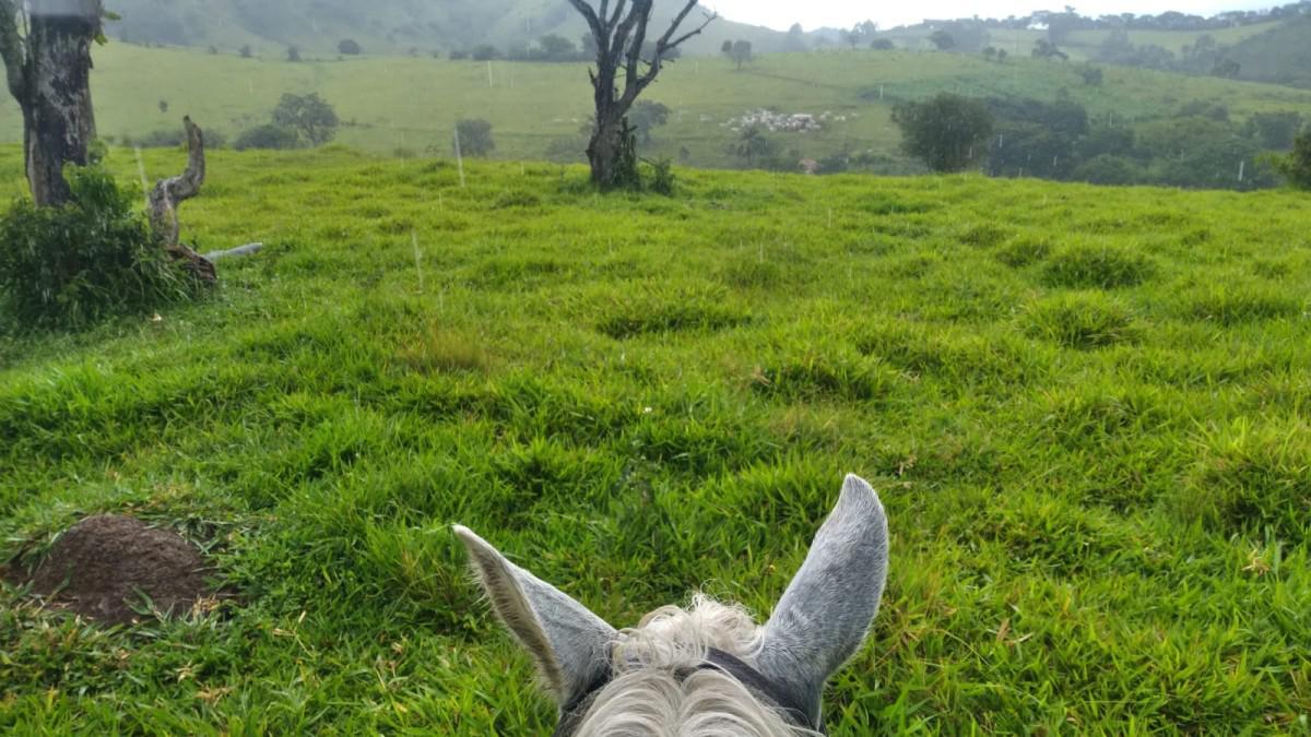 Fazenda, Zona Rural, 0 Quarto, 0 Vaga