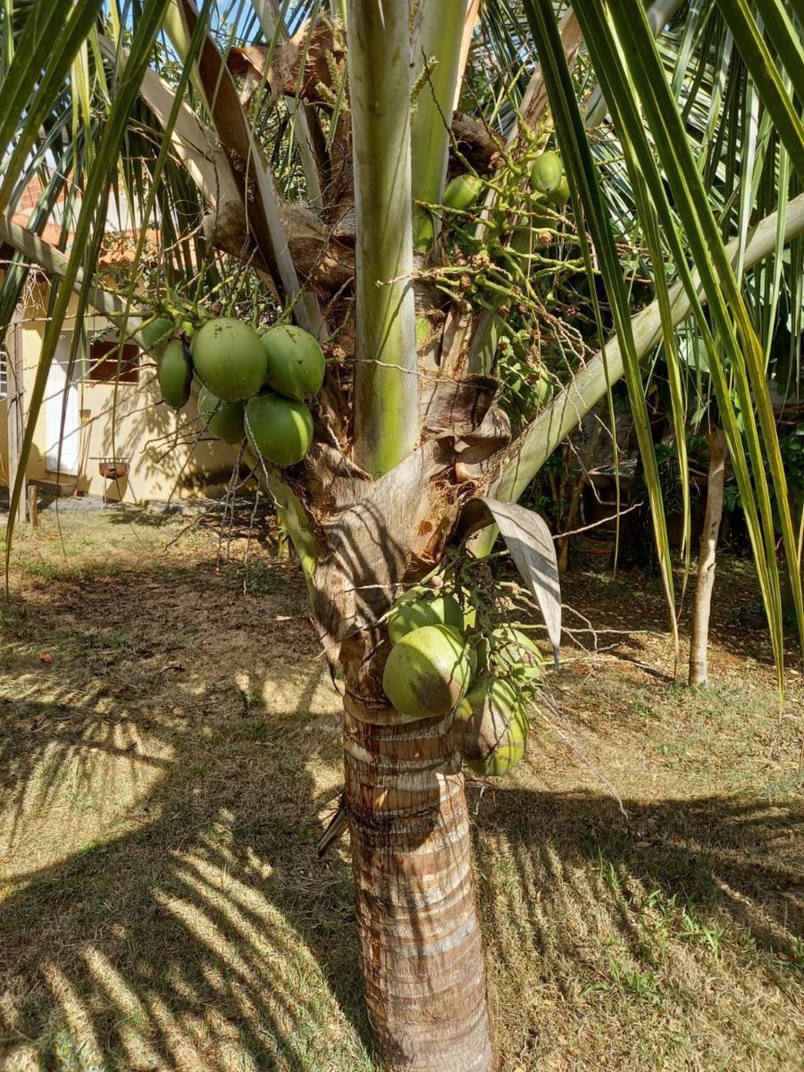 Casa, Centro, 2 Quartos, 1 Vaga, 1 Suíte