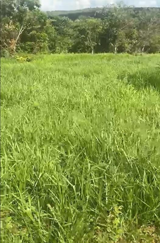 Fazenda, Centro, 4 Quartos, 2 Vagas