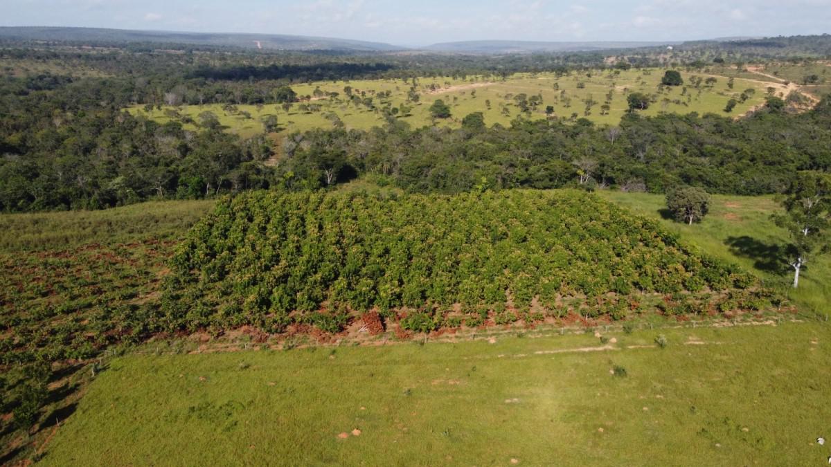 Lote, Centro, 3 Quartos, 0 Vaga