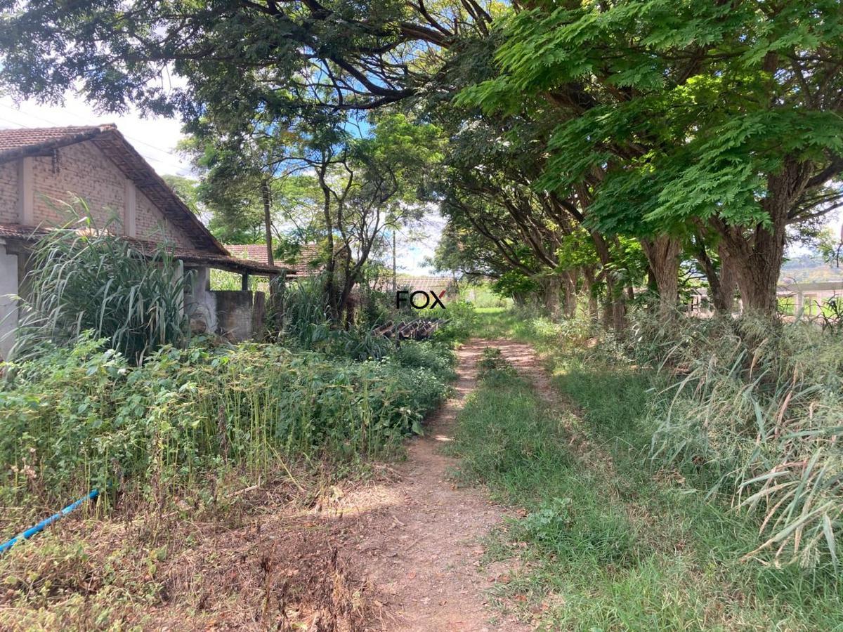 Lote, Inácia de Carvalho, 0 Quarto, 0 Vaga