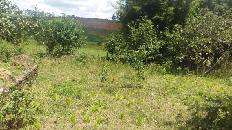 Fazenda, Guedes, 0 Quarto, 0 Vaga