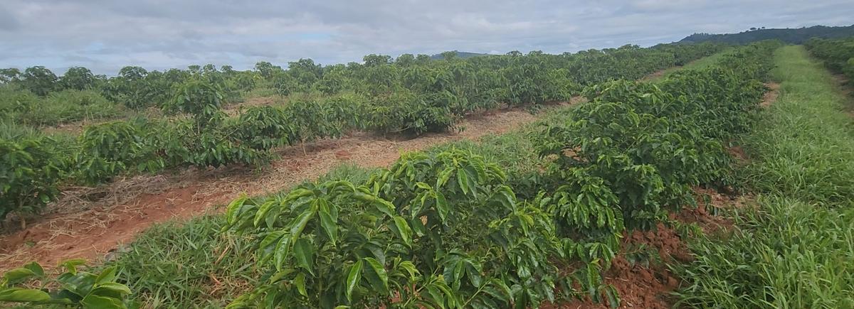 Fazenda, Zona Rural, 1 Quarto, 0 Vaga