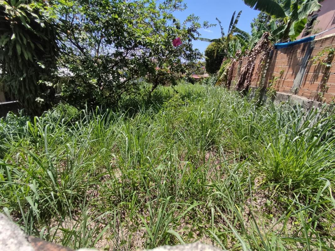 Lote, Santa Cruz, 0 Quarto, 0 Vaga