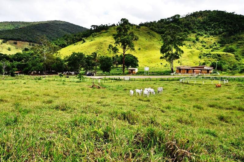 Fazenda, Centro, 3 Quartos, 20 Vagas, 3 Suítes