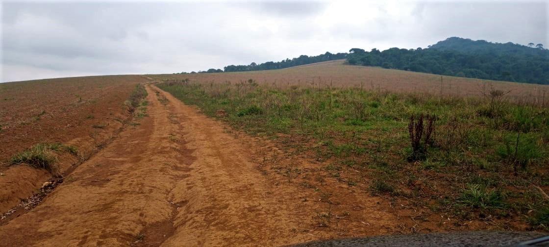 Fazenda, Centro, 0 Quarto, 0 Vaga
