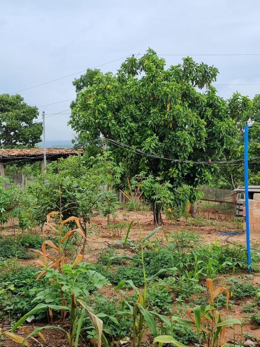 Fazenda, São José, 2 Quartos, 0 Vaga, 2 Suítes