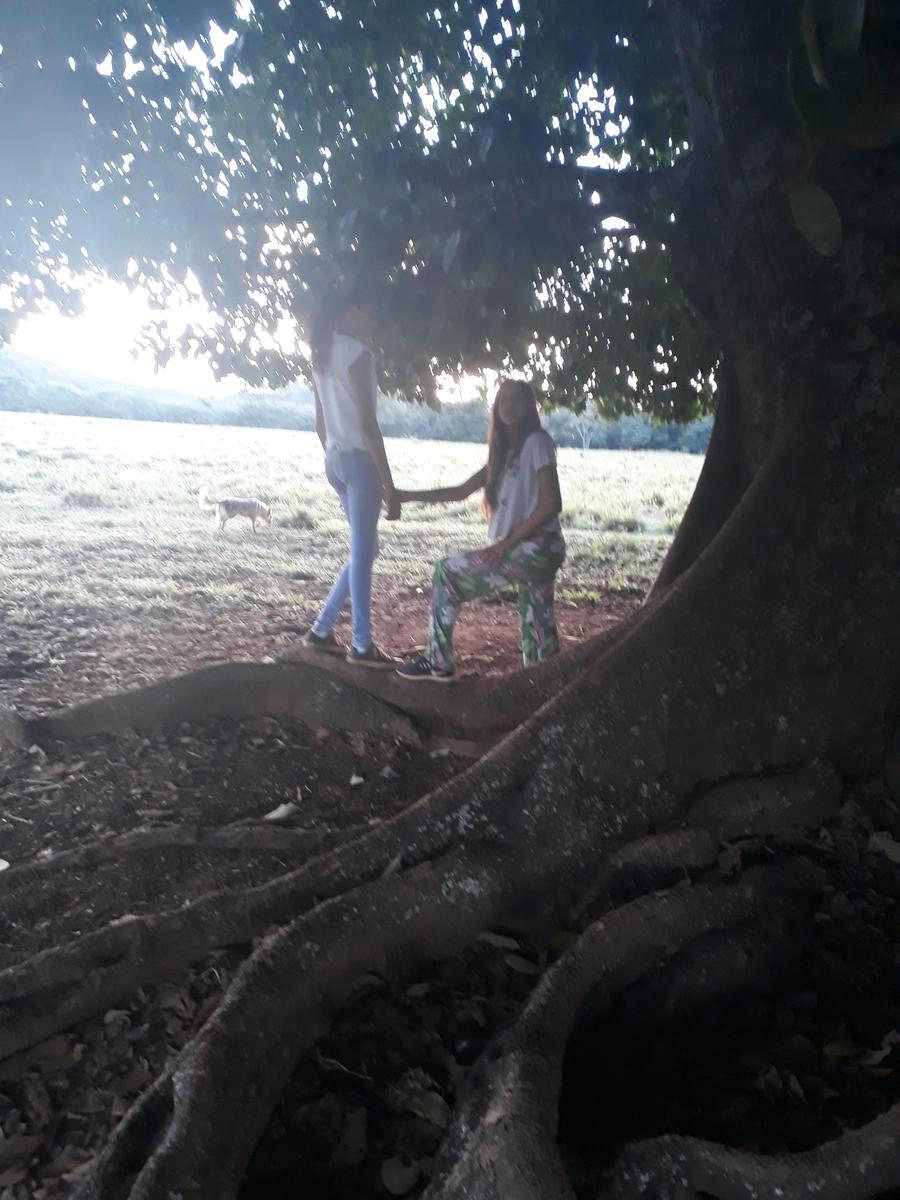 Fazenda, Zona Rural