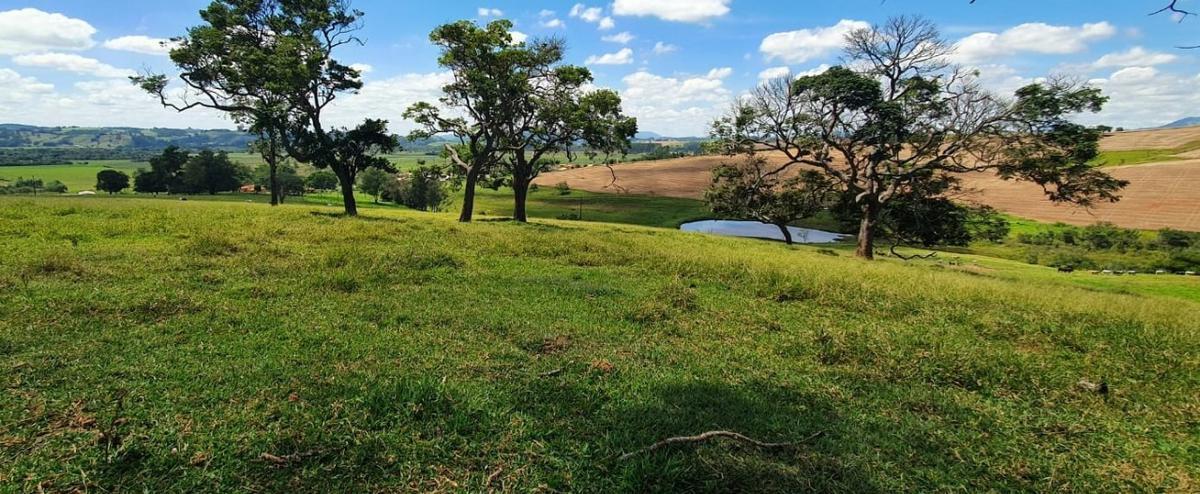 Fazenda, Centro, 4 Quartos, 2 Vagas, 1 Suíte