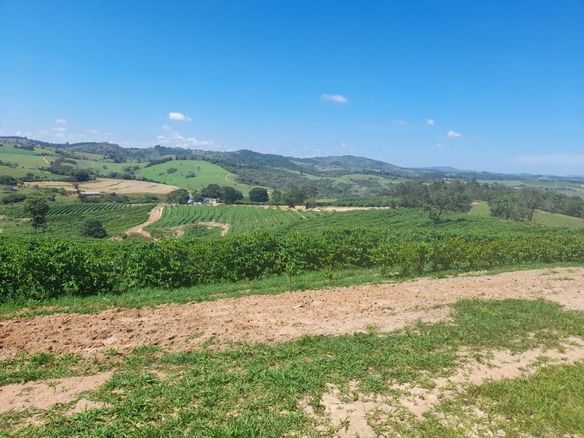 Fazenda, Centro, 1 Quarto, 1 Vaga, 1 Suíte