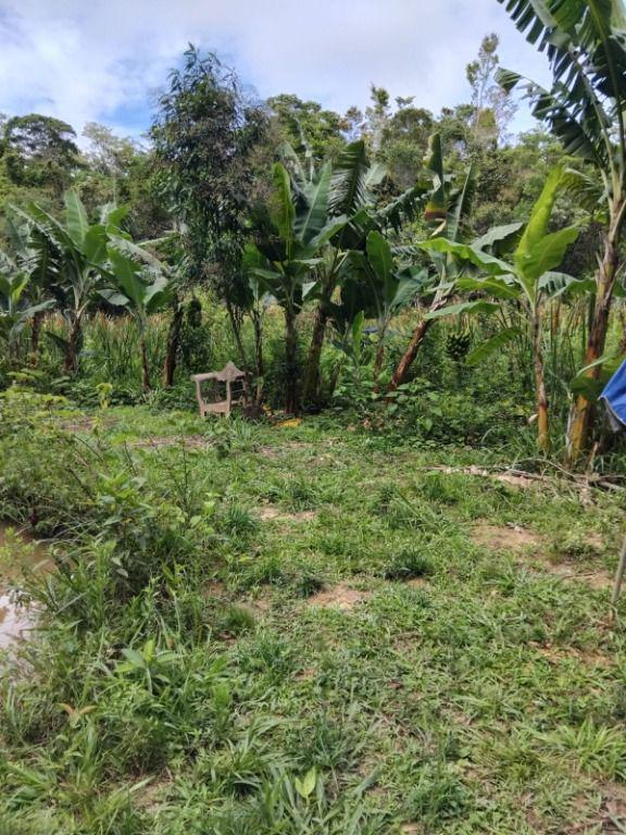 Lote, Rosário, 0 Quarto, 0 Vaga