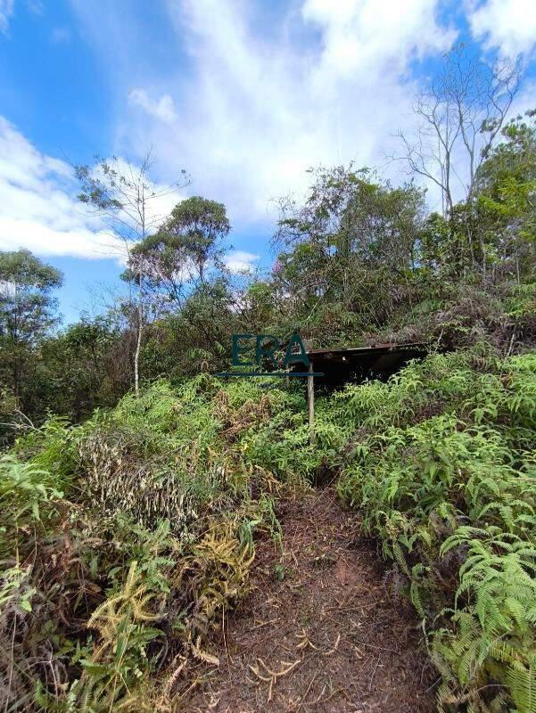 Lote, Parque do Engenho, 0 Quarto, 0 Vaga