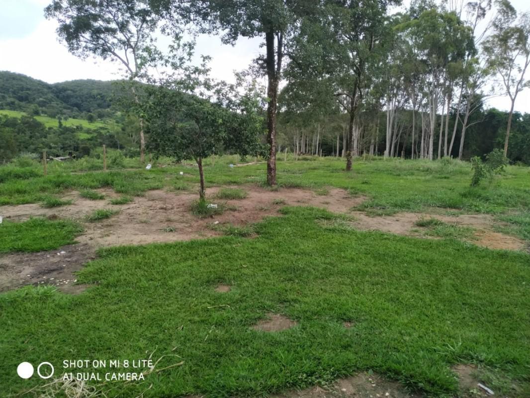 Fazenda, Centro, 0 Quarto, 0 Vaga