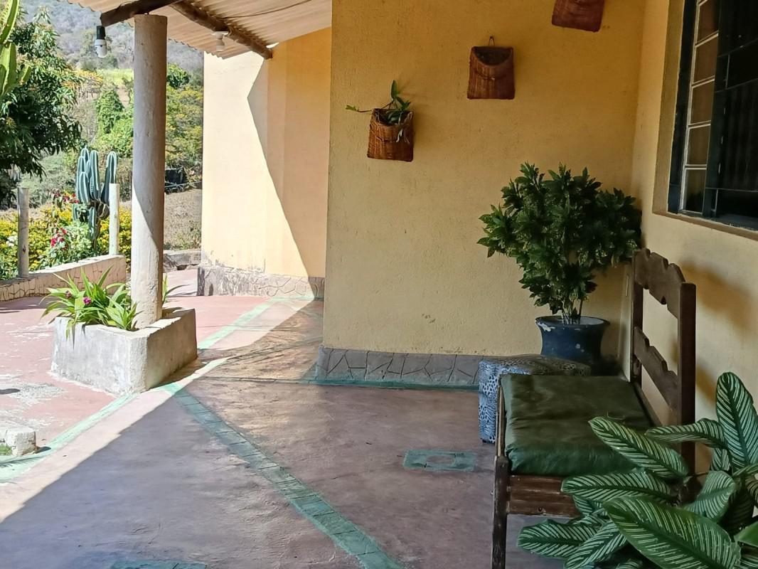 Fazenda, Centro, 3 Quartos, 3 Vagas, 1 Suíte