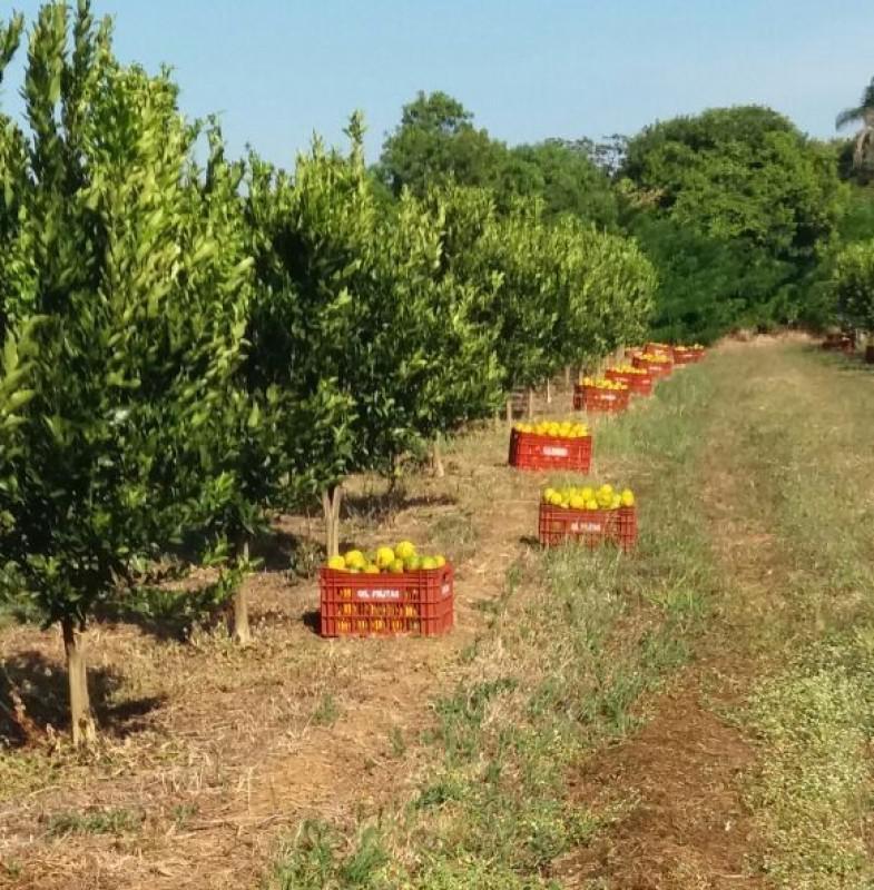 Fazenda, Zona Rural, 3 Quartos, 2 Vagas, 1 Suíte