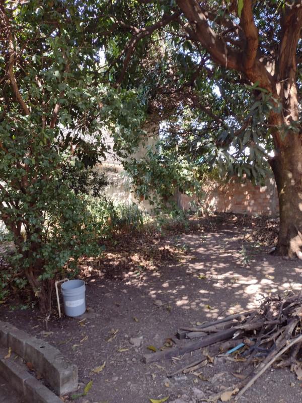 Casa, Água Branca, 3 Quartos, 5 Vagas