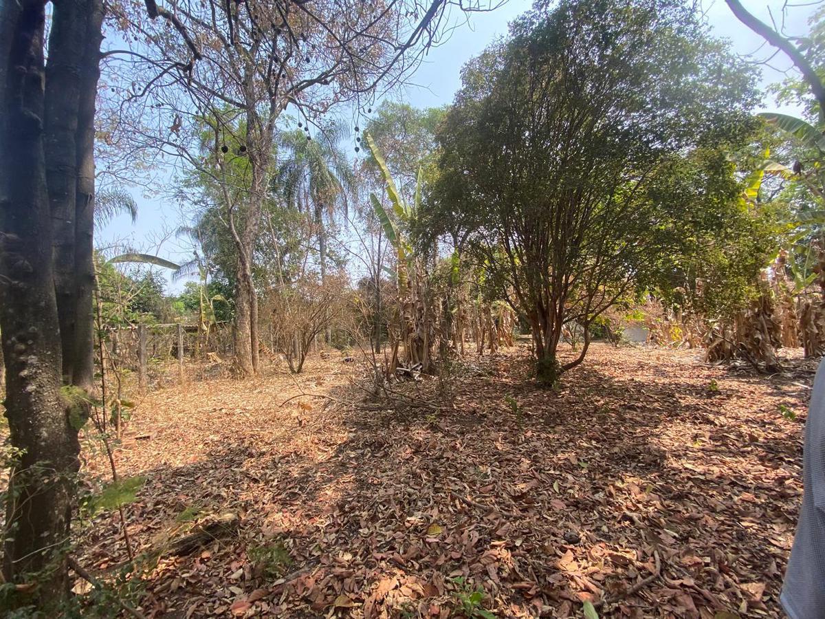 Lote, Centro, 3 Quartos, 0 Vaga, 1 Suíte