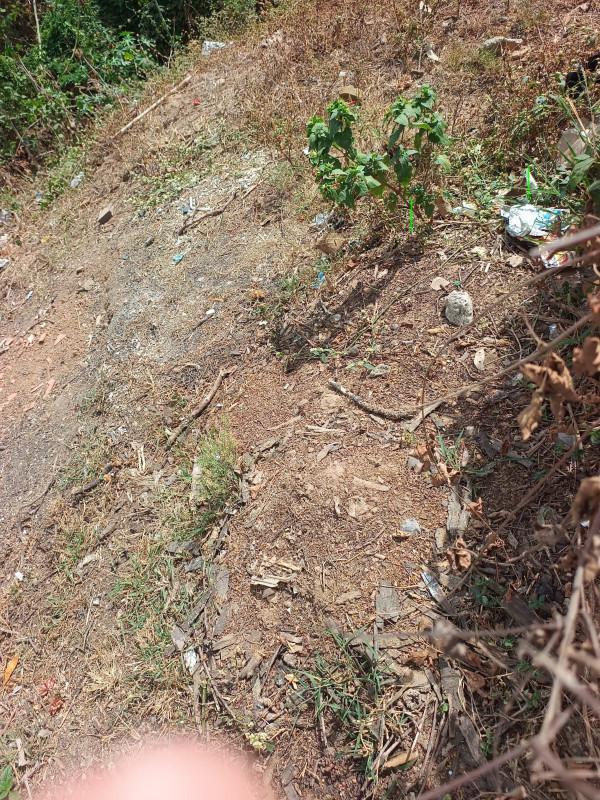 Lote, Parque Maracanã, 0 Quarto, 0 Vaga