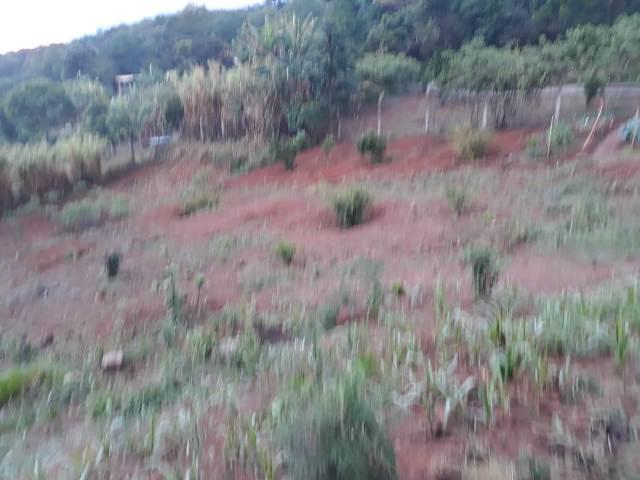 Fazenda, Quintas da Serra, 5 Quartos, 10 Vagas, 1 Suíte