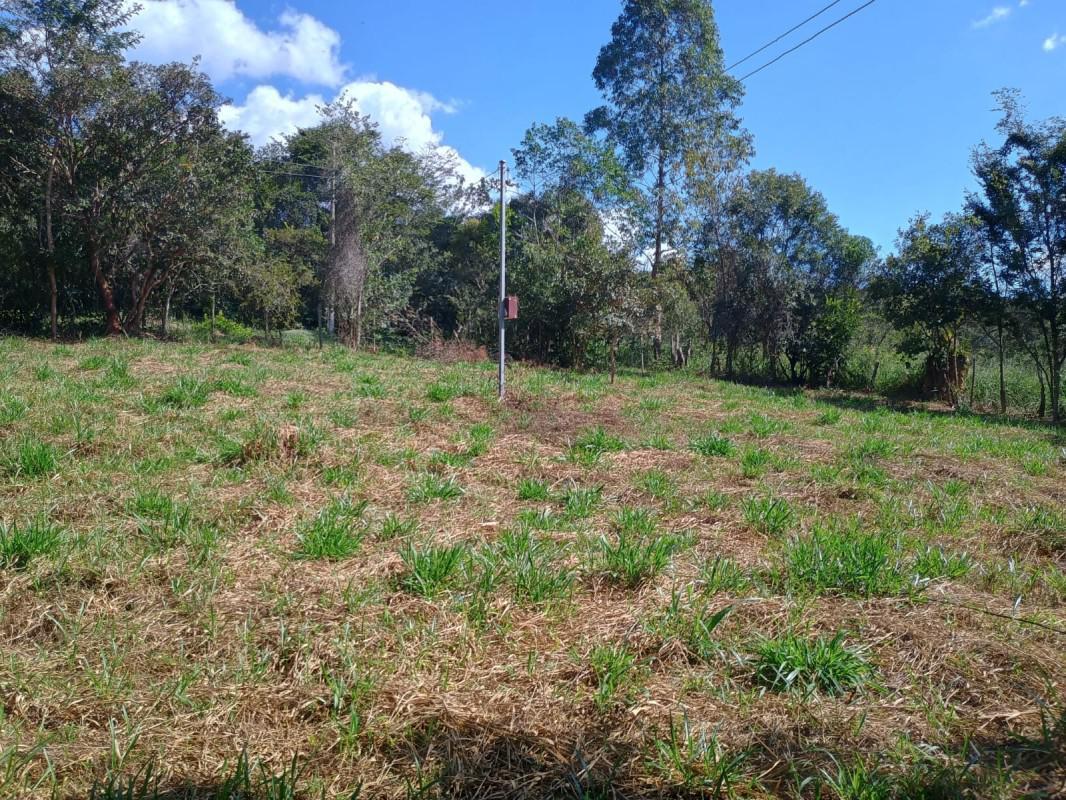 Fazenda, Centro, 0 Quarto, 0 Vaga