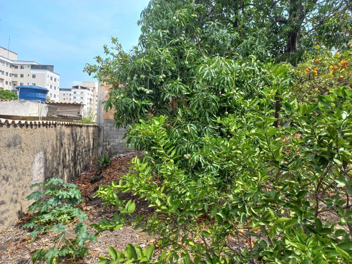 Lote, Bom Retiro, 0 Quarto, 0 Vaga