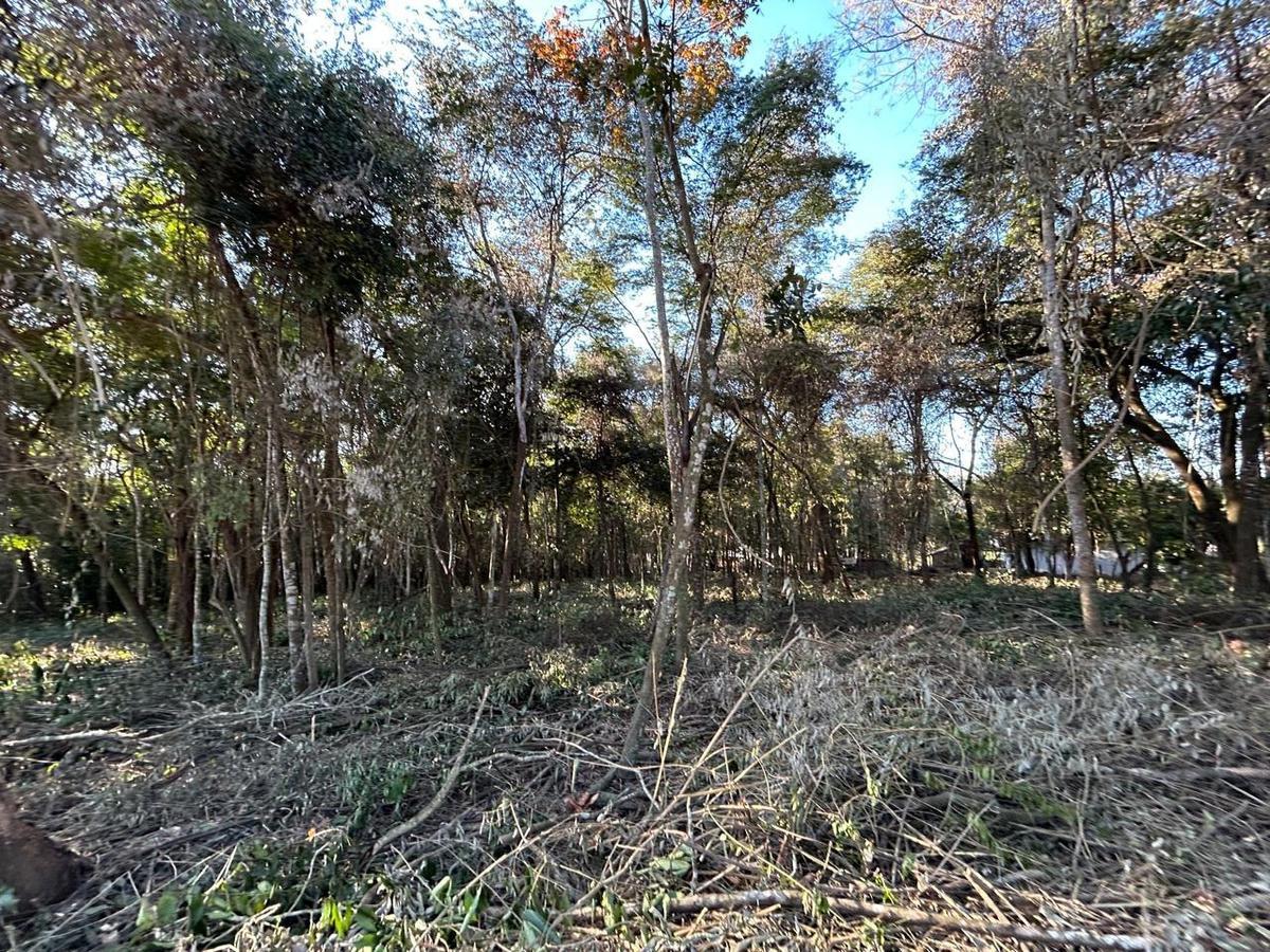 Lote, Centro, 0 Quarto, 0 Vaga