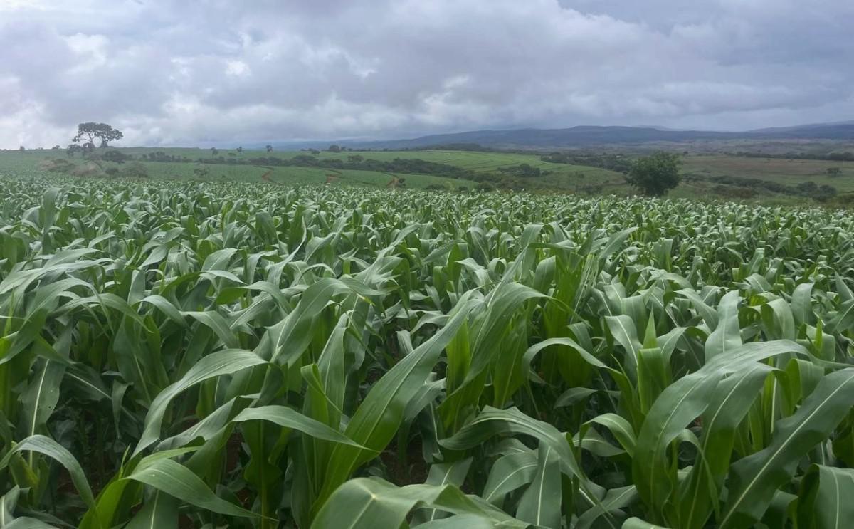 Fazenda, Zona Rural, 0 Quarto, 0 Vaga