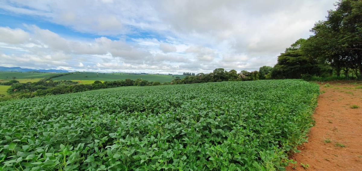 Fazenda, Zona Rural, 3 Quartos, 1 Vaga, 1 Suíte