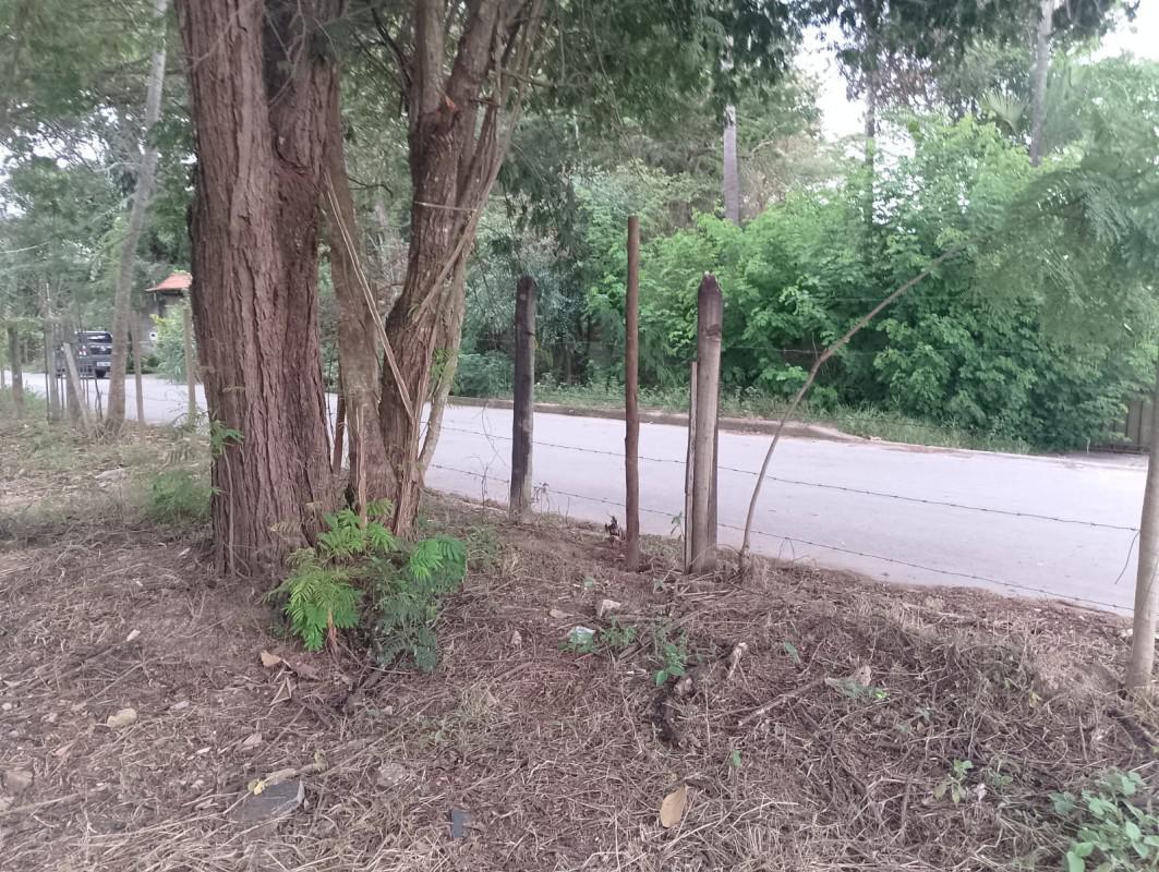 Fazenda, Vale Verde, 0 Quarto, 0 Vaga