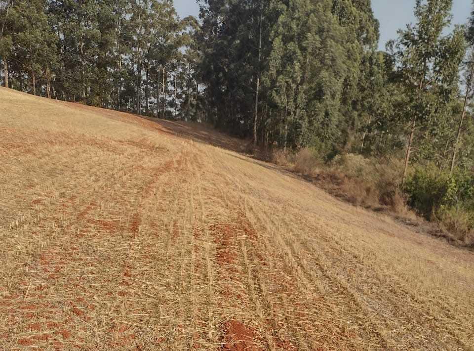 Fazenda, Zona Rural, 1 Quarto, 0 Vaga