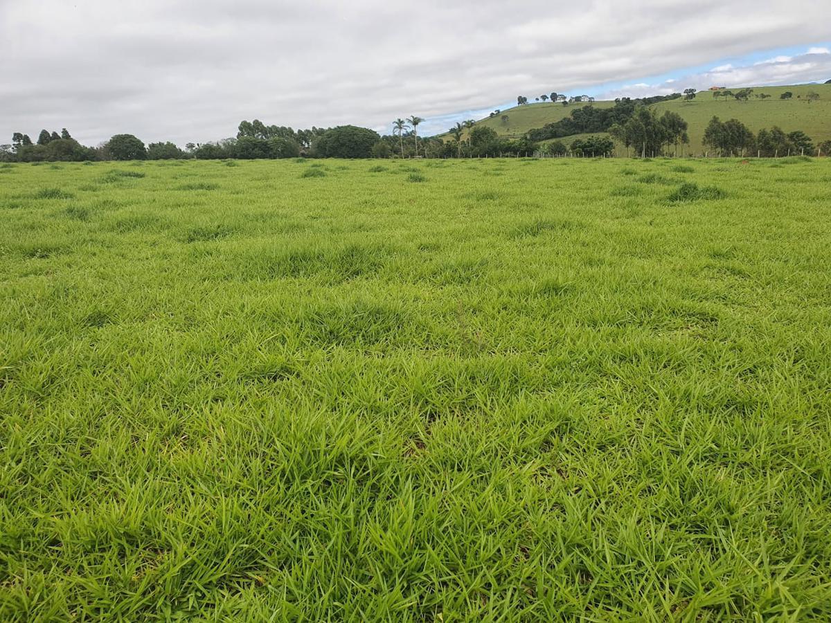 Fazenda, Zona Rural, 1 Quarto, 0 Vaga