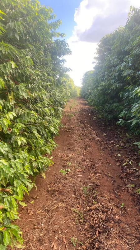 Fazenda, Zona Rural, 0 Quarto, 0 Vaga